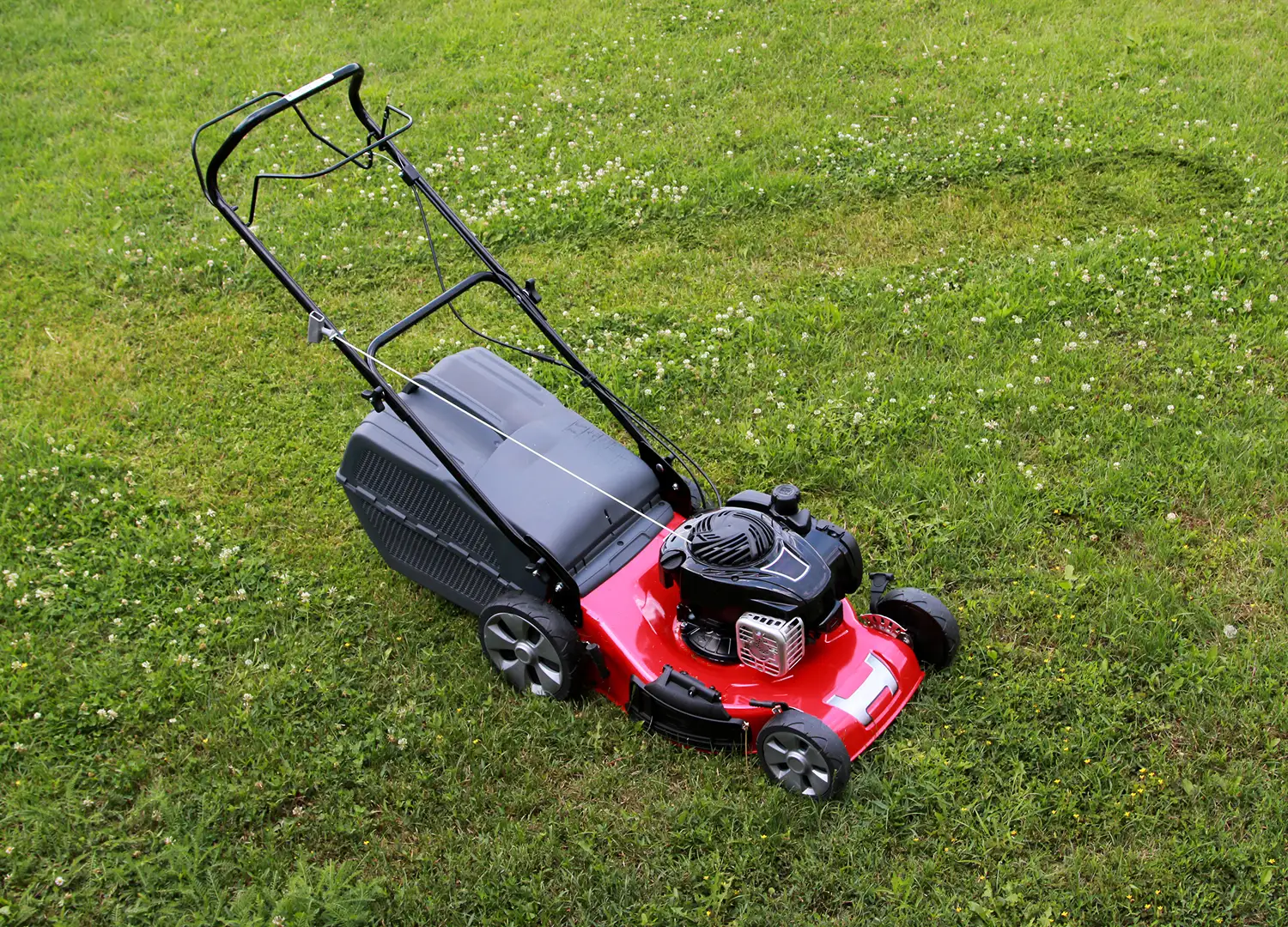 Home Decor and Garden